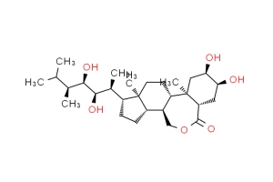 蕓苔素內(nèi)酯